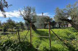 Excellent Plot of land for sale in Kalamata Palaioxora, Avia, Messinia Greece Excellent Plot of land for sale in Kalamata Palaioxora, Avia, Messinia Greece