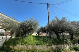 Excellent Plot of land for sale in Kalamata Palaioxora, Avia, Messinia Greece Excellent Plot of land for sale in Kalamata Palaioxora, Avia, Messinia Greece