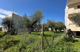 Excellent Plot of land for sale in Kalamata Palaioxora, Avia, Messinia Greece Excellent Plot of land for sale in Kalamata Palaioxora, Avia, Messinia Greece