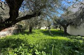 Excellent Plot of land for sale in Kalamata Palaioxora, Avia, Messinia Greece Excellent Plot of land for sale in Kalamata Palaioxora, Avia, Messinia Greece