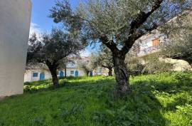 Excellent Plot of land for sale in Kalamata Palaioxora, Avia, Messinia Greece Excellent Plot of land for sale in Kalamata Palaioxora, Avia, Messinia Greece