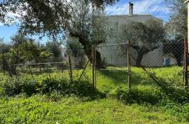 Excellent Plot of land for sale in Kalamata Palaioxora, Avia, Messinia Greece Excellent Plot of land for sale in Kalamata Palaioxora, Avia, Messinia Greece