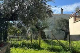 Excellent Plot of land for sale in Kalamata Palaioxora, Avia, Messinia Greece Excellent Plot of land for sale in Kalamata Palaioxora, Avia, Messinia Greece