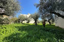 Excellent Plot of land for sale in Kalamata Palaioxora, Avia, Messinia Greece Excellent Plot of land for sale in Kalamata Palaioxora, Avia, Messinia Greece
