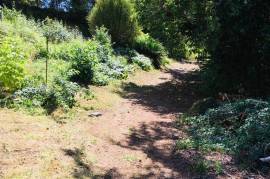 6 Bed House To Redevelop for Sale in Castillonnes France 6 Bed House To Redevelop for Sale in Castillonnes France