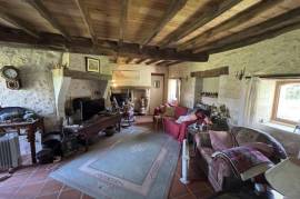 9 Bed Country Chateaux with 2 Gites for Sale in Manoir Seneuil Dordogne France