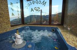 Boutique Mountain Guesthouse with SPA For sale in Elatochori Pieria, Central Macedonia Greece Boutique Mountain Guesthouse with SPA For sale in Elatochori Pieria, Central Macedonia Greece