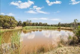 9 Hectare Country Estate For sale in Seymour Victoria Australia 9 Hectare Country Estate For sale in Seymour Victoria Australia