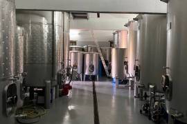 Organic Wine Farm with 13.2 ha in Zêzere Organic Wine Farm with 13.2 ha in Zêzere