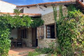 Organic Wine Farm with 13.2 ha in Zêzere Organic Wine Farm with 13.2 ha in Zêzere