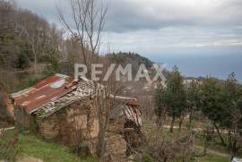 House 80 sq.m for sale House 80 sq.m for sale