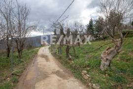 House 80 sq.m for sale House 80 sq.m for sale