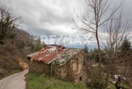 House 80 sq.m for sale House 80 sq.m for sale