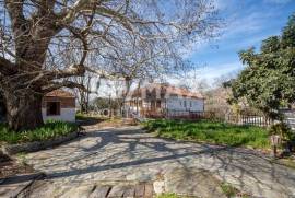 House 53 sq.m for sale