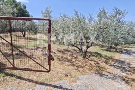 House 41 sq.m for sale House 41 sq.m for sale