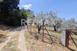 House 41 sq.m for sale House 41 sq.m for sale