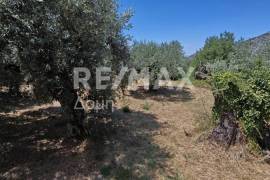 House 41 sq.m for sale House 41 sq.m for sale