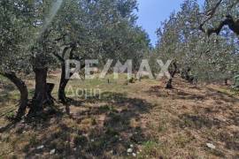 House 41 sq.m for sale House 41 sq.m for sale