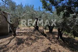 House 41 sq.m for sale House 41 sq.m for sale
