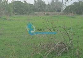 Rustic land with 14090m² located in Mouraria-Albufeira Rustic land with 14090m² located in Mouraria-Albufeira