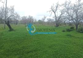 Rustic land with 14090m² located in Mouraria-Albufeira Rustic land with 14090m² located in Mouraria-Albufeira