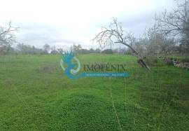 Rustic land with 14090m² located in Mouraria-Albufeira Rustic land with 14090m² located in Mouraria-Albufeira