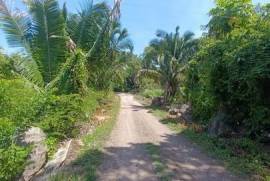 Land-Plot for sale in Bay-Of-Matanchen Mexico