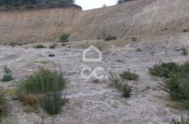 Land, Fig Trees, Lousada