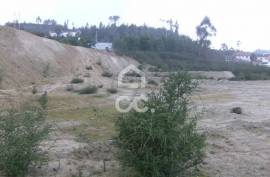 Land, Fig Trees, Lousada