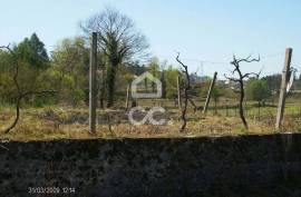 Land, Meinedo, Lousada