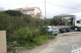 Land, Fig Trees, Lousada