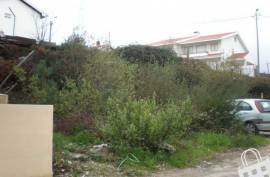 Land, Fig Trees, Lousada