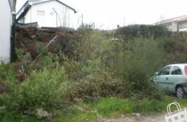 Land, Fig Trees, Lousada