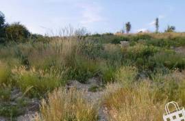 Land for housing - Land, São Miguel de Lousada, Lousada