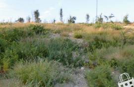 Land for housing - Land, São Miguel de Lousada, Lousada