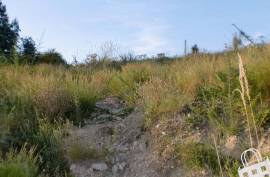 Land for housing - Land, São Miguel de Lousada, Lousada