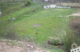 Land, Boim, Lousada