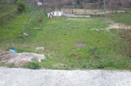 Land, Boim, Lousada