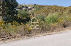 Land, Santa Eulália de Barrosas, Vizela