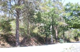 Land for housing - Land, Lustosa, Lousada