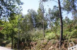 Land for housing - Land, Lustosa, Lousada