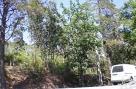 Land for housing - Land, Lustosa, Lousada