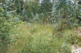 Land, Infias, Vizela