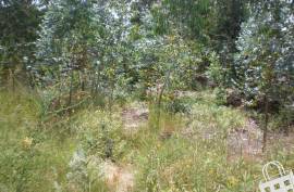 Land, Infias, Vizela