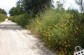 Land, Infias, Vizela