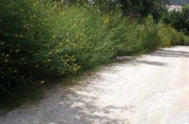 Land, Infias, Vizela