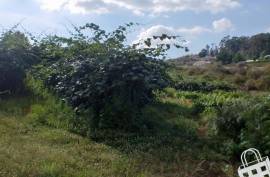 Land, Aveleda, Lousada