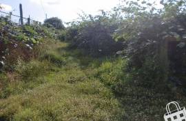 Land, Aveleda, Lousada