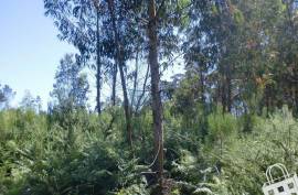 Rustic land - Land, Meinedo, Lousada