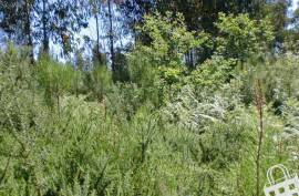 Rustic land - Land, Meinedo, Lousada